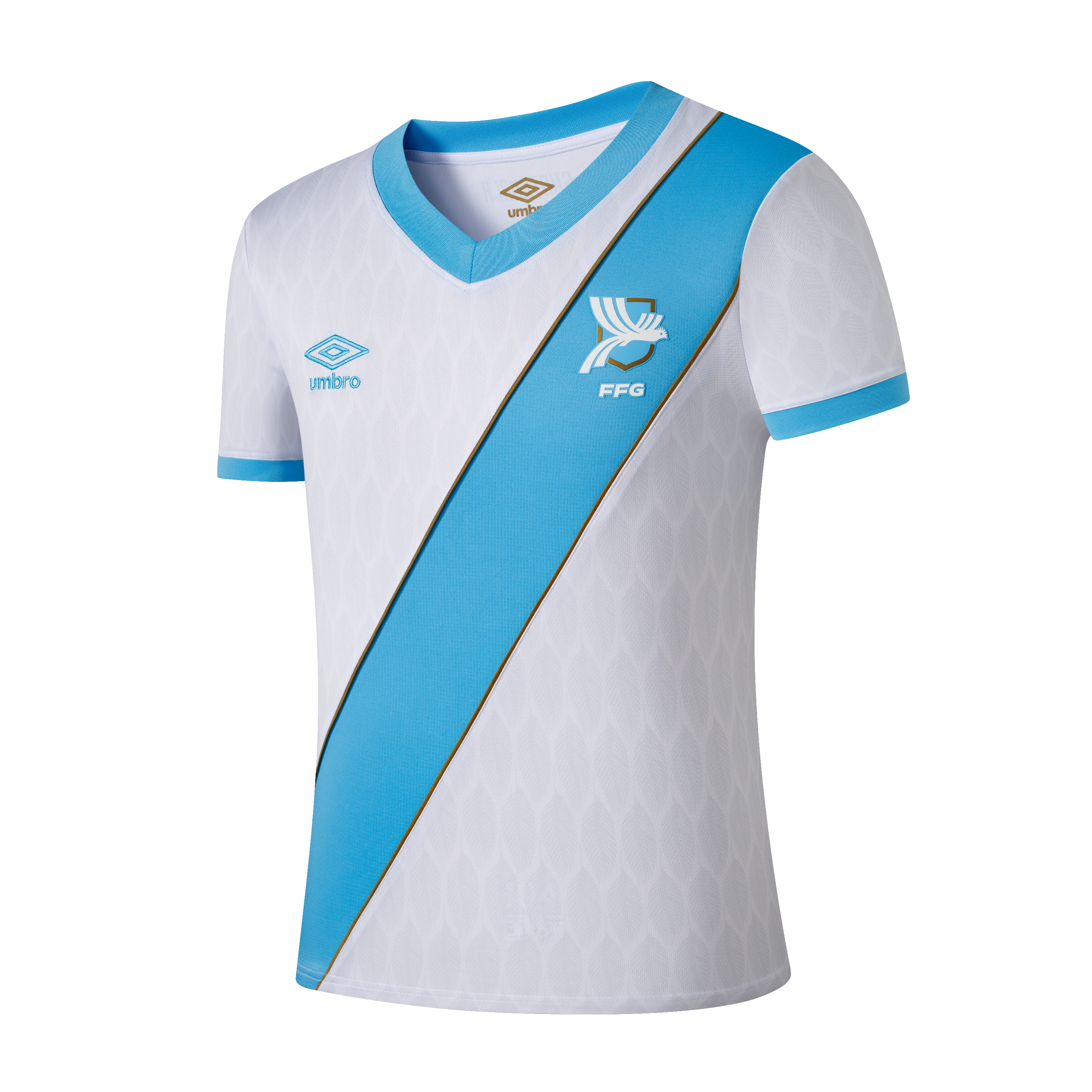 Guatemala Home Take Down Jersey (Replica)